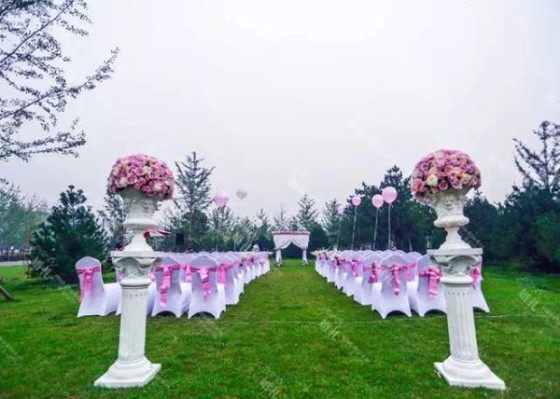pink wedding background